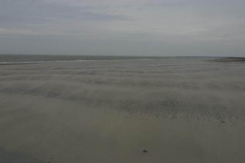 2012-01-21 09-55-46 Ludo.JPG